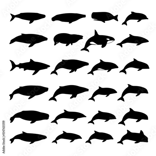 set of silhouette whale icons vector art