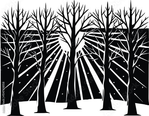  winter sun through trees silhouette