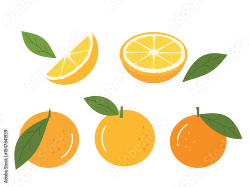 Set of orange fruit with green leaves icon sign isolated on white background vector.