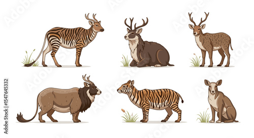 Illustration showing six different species of deer like animals with unique patterns and antlers