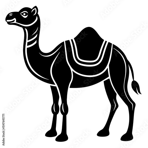 Camel with saddle isolated on white background in black and white