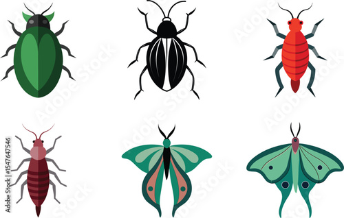insect color vector illustration