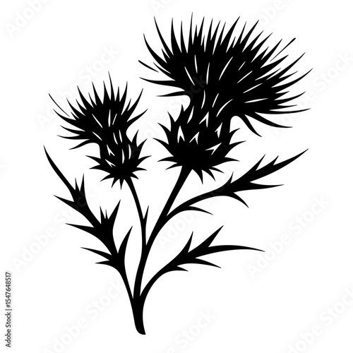 Blooming thistle flower plant vector illustration in black and white silhouette style for botanical, natural, and floral design concepts
