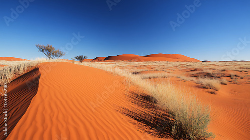 The iconic red sand dunes of the Simpson Desert under a clear blue sky (1)