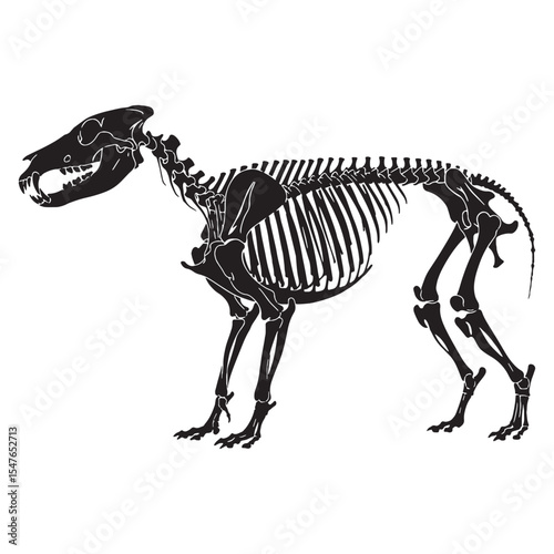 Formed from fossil memory – Dire wolf skeleton silhouette aligned with minimalist Dire wolf skeleton vector – Dire wolf skeleton illustration

