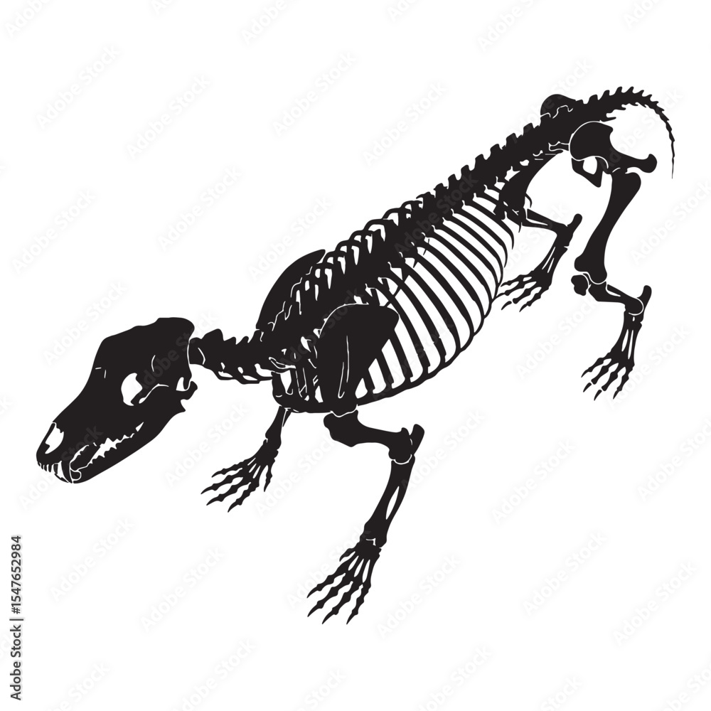 Fototapeta premium The skeletal grace of an apex carnivore – Dire wolf skeleton silhouette in linear Dire wolf skeleton vector – Dire wolf skeleton illustration