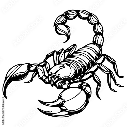 scorpion vector illustration