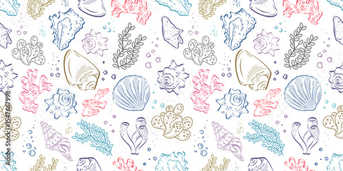Seamless pattern with shells, corals, algae. Sketch, colored outline on a white background. Ideal for covers, backgrounds, packaging, textiles.