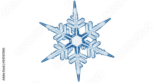 Isolated Snowflake