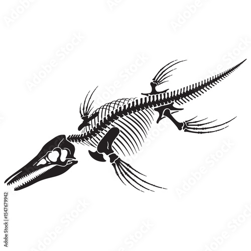 Anatomy of an ancient swimmer – Ichthyosaurus skeleton silhouette and precise Ichthyosaurus skeleton vector – Ichthyosaurus skeleton illustration

