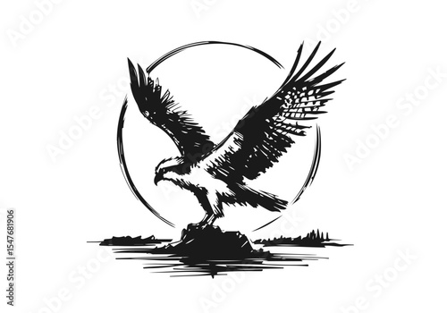 Osprey Bird hand drawn sketch vector illustration