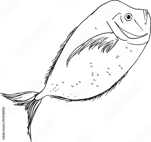 Flat pomfret fish quick doodle in hand drawn style for Asian cuisine packaging food posters seafood identity and menu decor
