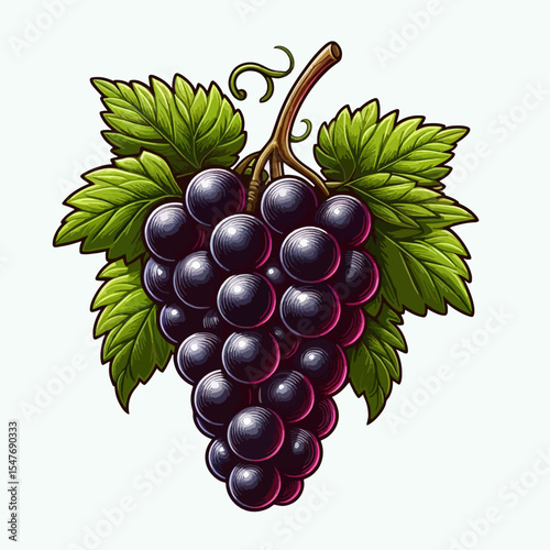 Digitally drawn cluster of dark purple grapes, complete with leaves and a stem.  The illustration displays a detailed and realistic representation of the grapes.