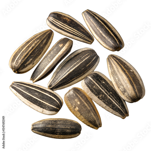 Wallpaper Mural A collection of sunflower seeds, each with unique striped patterns, isolated against a black background. Torontodigital.ca