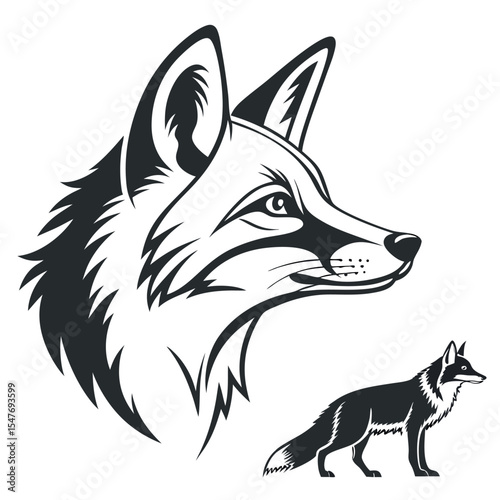 Majestic fox head and full body illustration in black and white