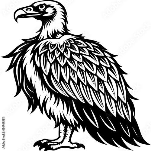 Vulture bird of prey isolated on white background