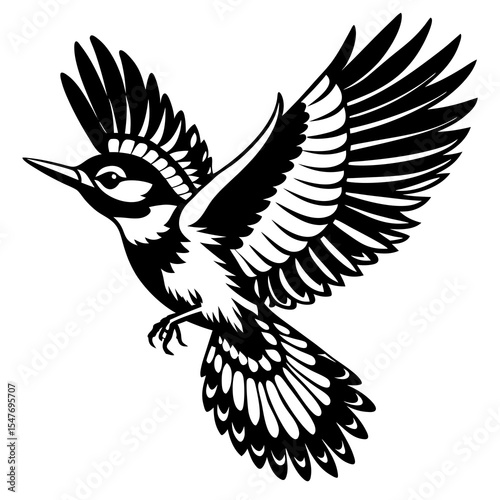 Woodpecker flying with wings spread isolated on white background