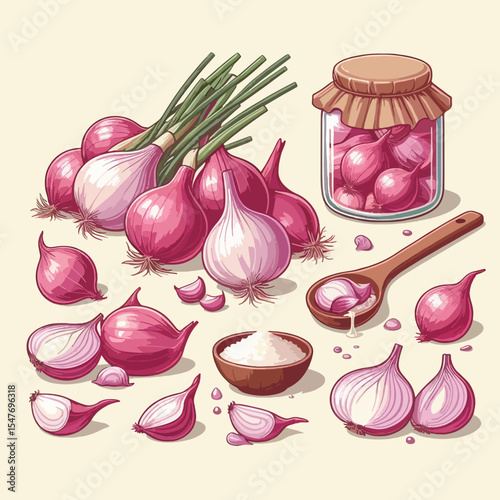 Collection of illustrations depicting various forms of red onions, whole bulbs, slices, and a jar of preserved onions, along with a wooden spoon and salt.  The design style is detailed and vibrant.