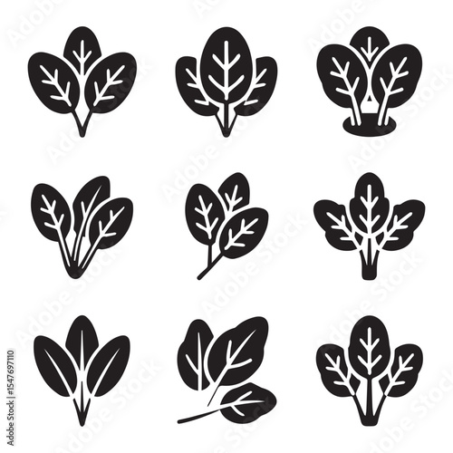 Spinach Icon Set for Salad. Black and White Spinach Leaf Icons Set for Food Design
