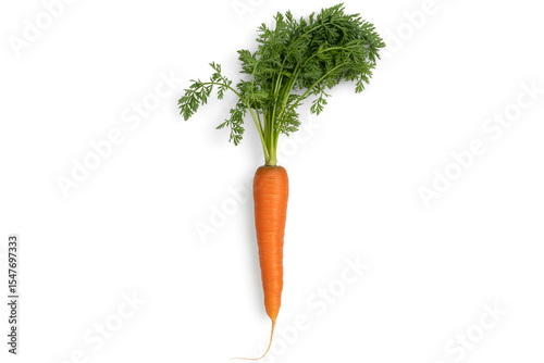 Fresh carrot with green leaves isolated on white background