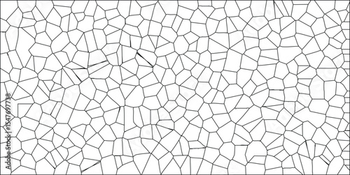 Abstract geometric cell structure pattern in black lines on white background representing cellular biology and complex network designs