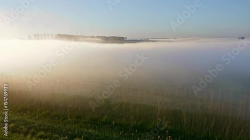 Morning Fog Drifting Over Quiet Grass Field. Wide static shot of soft morning fog drifting across a flat grass field. Cool tones, minimalism, and a calm, quiet atmosphere