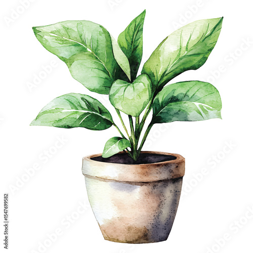 Watercolor illustration of potted plant with large green leaves in rustic clay pot on transparent background vector