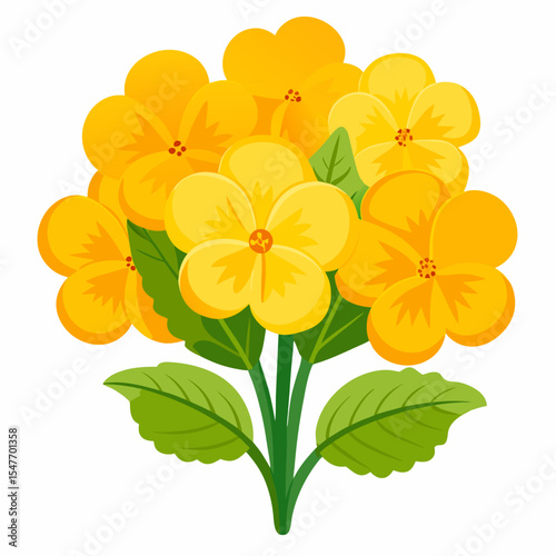 a vibrant cluster of primrose flowers on white background