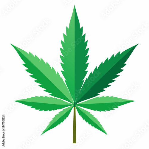 cannabis leaf vector illustration