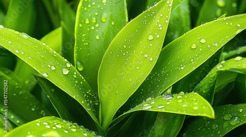 Lush green leaves with water droplets vibrant foliage texture Nature Plants