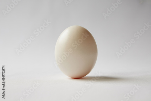 An egg stands upright isolated on white background