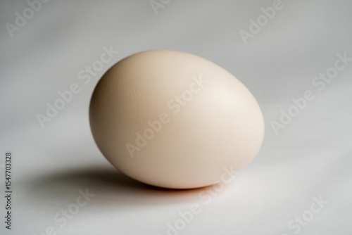 A single egg on a white surface