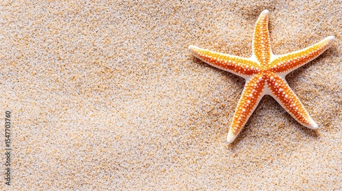 Orange starfish on light beige sand beach Close up view of a single starfish