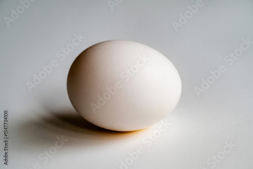 Single white egg on a white surface