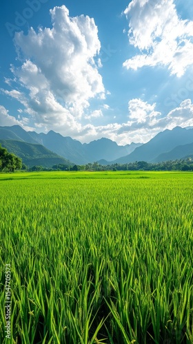 Green field with lush vegetation and mountains in the background, great background for nature and agriculture themes.