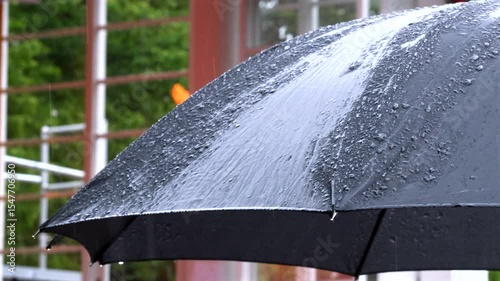 Umbrella in the Rain