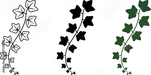 Ivy vine illustration set of three different styles for graphic design and web design elements 100 editable stock vector