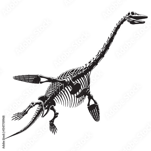 Reaching through time – Plesiosaurus skeleton silhouette formed in detailed Plesiosaurus skeleton vector – Plesiosaurus skeleton illustration

