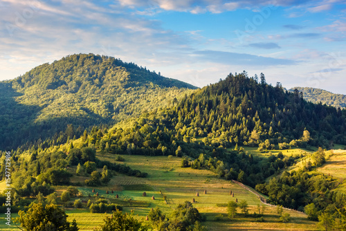 Fototapeta mountainous rural landscape in summer