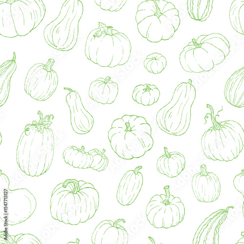 Green pumpkin outline seamless pattern, autumn harvest line art background