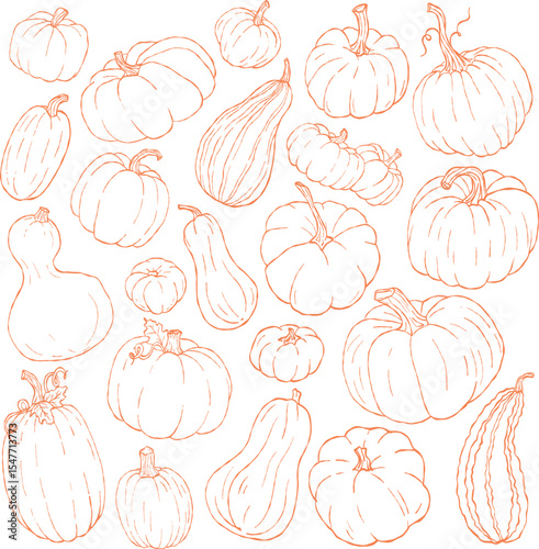 Pumpkin outline clipart collection, line art farm harvest pumpkin set, orange contour 