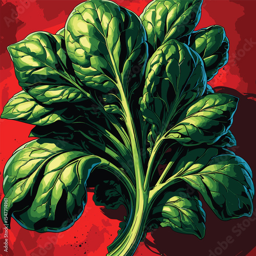 spinach vector image for graphic
