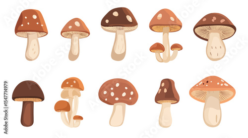Simple brown mushroom icon with clean flat design on white background, representing edible fungi, nature, organic food, and natural ingredients, ideal for use in culinary, health, nutrition