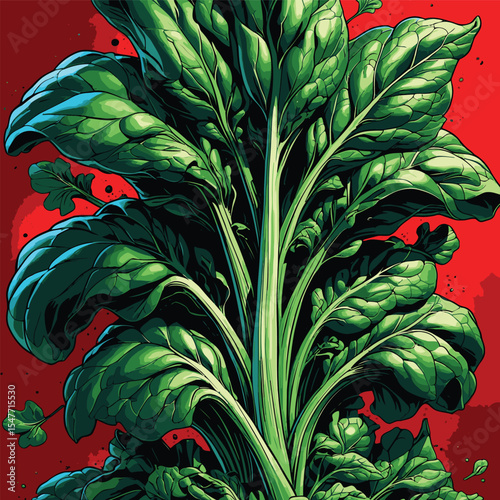 spinach vector image for graphic