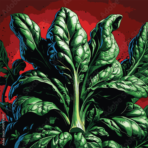 spinach vector image for graphic