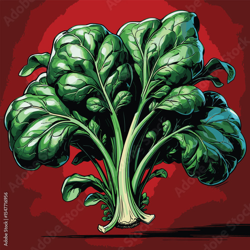 spinach vector image for graphic