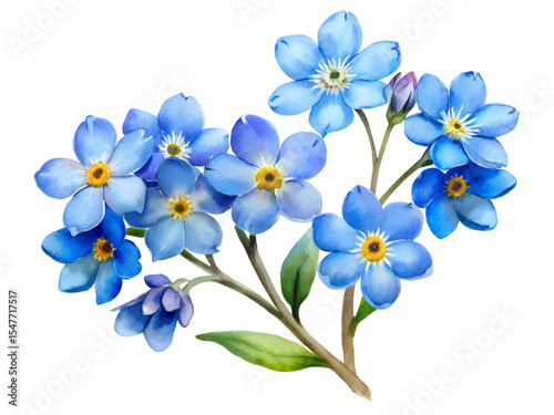 Watercolor Painting of Delicate Blue Forget Me Nots Flowers