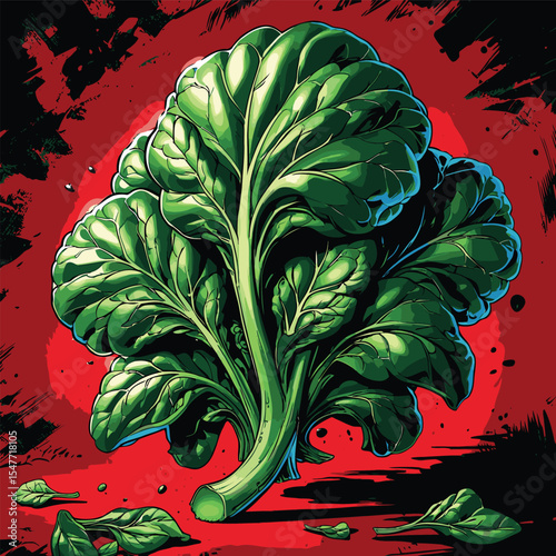 spinach vector image for graphic