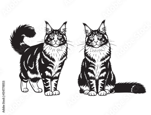 Detailed vector drawing of two majestic Maine Coon cats with long fur. Elegant and regal pets sitting and standing side by side.