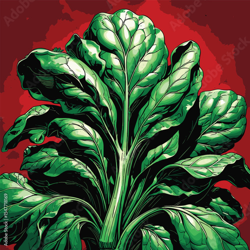 spinach vector image for graphic
